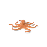 Octopus PNG & PSD Images