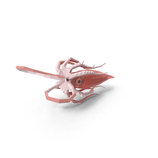 Low Poly Squid PNG & PSD Images