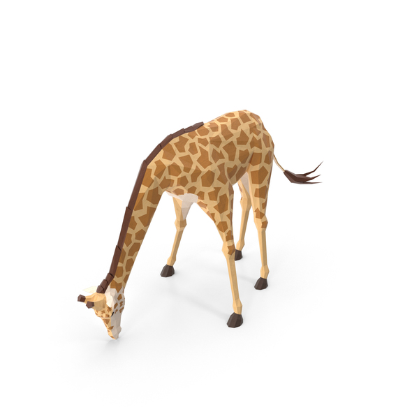 Giraffe PNG & PSD Images
