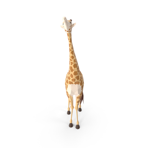 Giraffe PNG & PSD Images