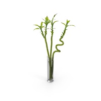 Bamboo Plant In Vase PNG & PSD Images