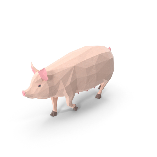 Low Poly Pig PNG & PSD Images