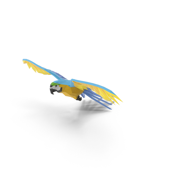 Low Poly Parrot PNG & PSD Images