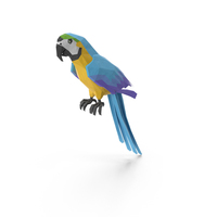 Low Poly Parrot PNG & PSD Images