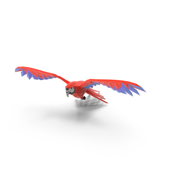 Low Poly Parrot PNG & PSD Images