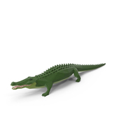 Low Poly Alligator PNG & PSD Images