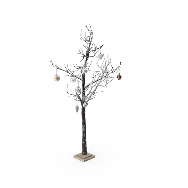 Christmas Tree PNG & PSD Images