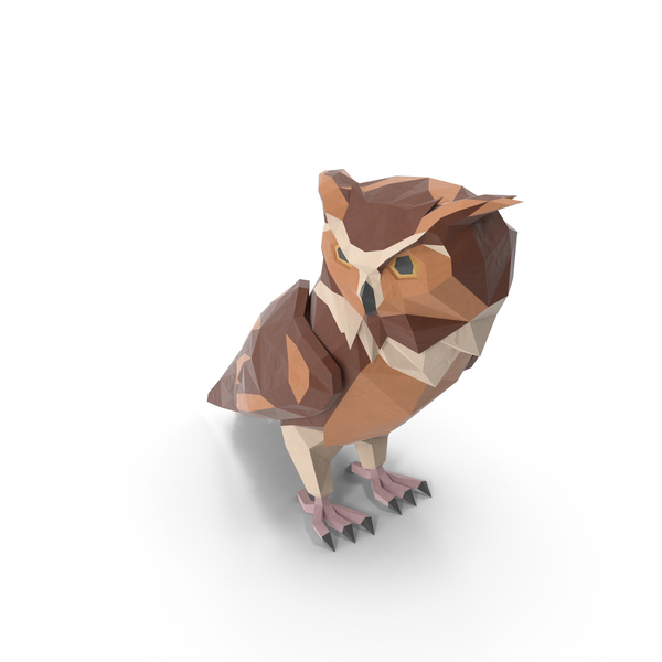 Owl PNG & PSD Images