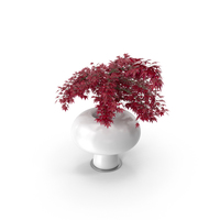 Boyo Vase with Plant PNG & PSD Images