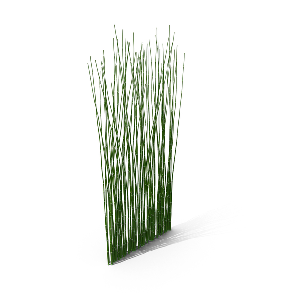 Bamboo PNG & PSD Images