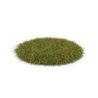 Grass PNG & PSD Images