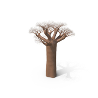 Baobab Tree PNG & PSD Images