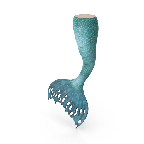 Mermaid Tail PNG & PSD Images