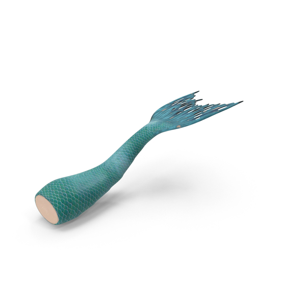 Mermaid Tail PNG & PSD Images