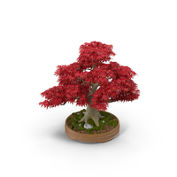 Japanese Maple Tree Statue PNG & PSD Images