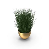 Brass Plant Bowl PNG & PSD Images