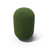 Topiary Capsule PNG & PSD Images