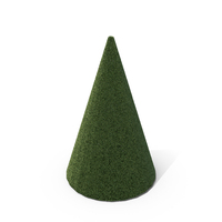 Topiary Cone PNG & PSD Images