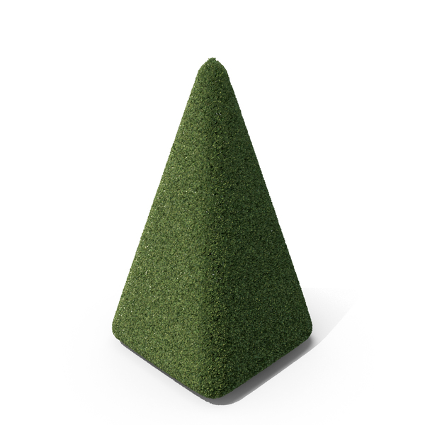 Topiary Pyramid PNG & PSD Images