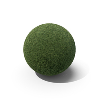 Topiary PNG & PSD Images