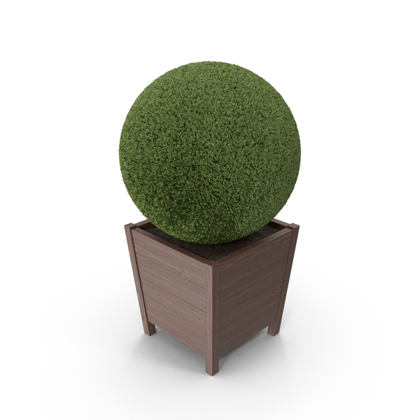 Topiary Sphere PNG & PSD Images