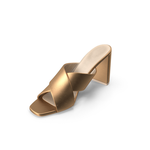 Women's Gilding Leather Mule Shoe PNG & PSD Images