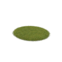 Grass Patch PNG & PSD Images