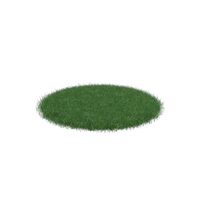 Grass Patch PNG & PSD Images