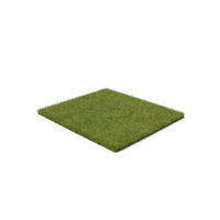Grass Patch PNG & PSD Images
