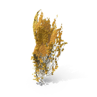 Yellow Ivy PNG & PSD Images