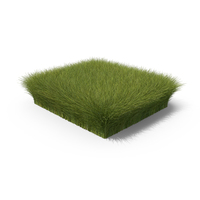 Grass Shape PNG & PSD Images
