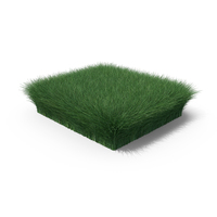 Tall Grass Patch PNG & PSD Images