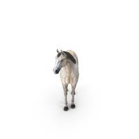Horse PNG & PSD Images