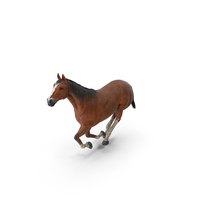 Horse Galloping PNG & PSD Images