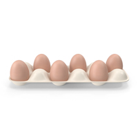Egg Tray PNG & PSD Images