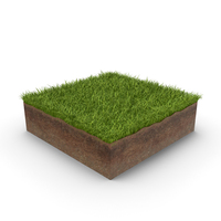Grass Cross Section PNG & PSD Images