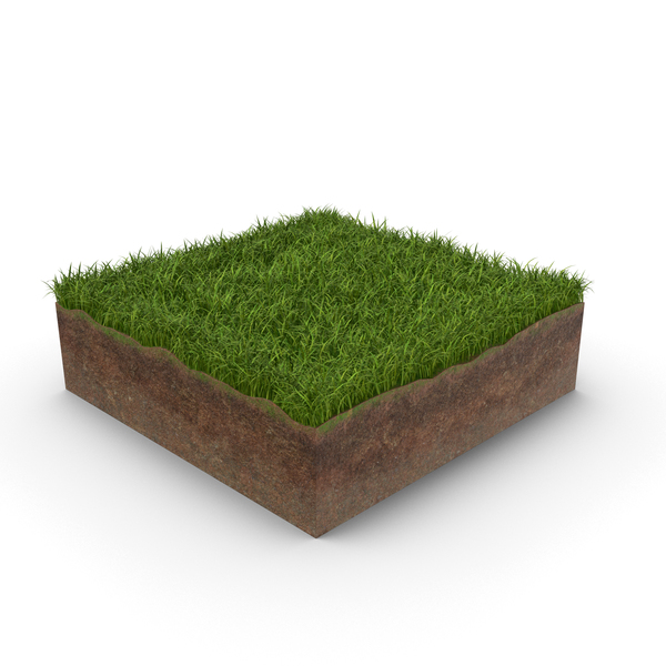 Grass Cross Section PNG & PSD Images