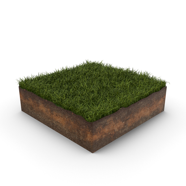 Grass Cross Section PNG & PSD Images