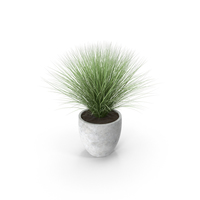 Sedge PNG & PSD Images