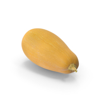 Oblong Pumpkin PNG & PSD Images