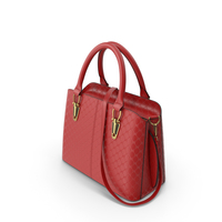 TcIFE Satchel Handbag PNG & PSD Images