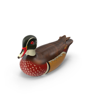 Duck Decoy PNG & PSD Images