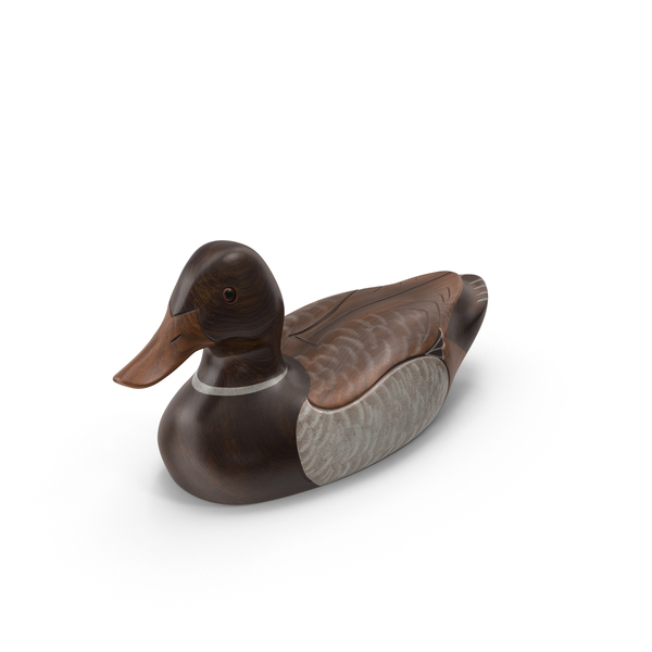 Duck Decoy PNG & PSD Images
