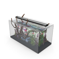 Aquarium PNG & PSD Images