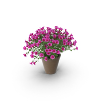 Petunia in Brown Pot PNG & PSD Images