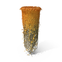 Autumnal Ivy Pillar PNG & PSD Images