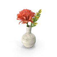 Flower Vase PNG & PSD Images