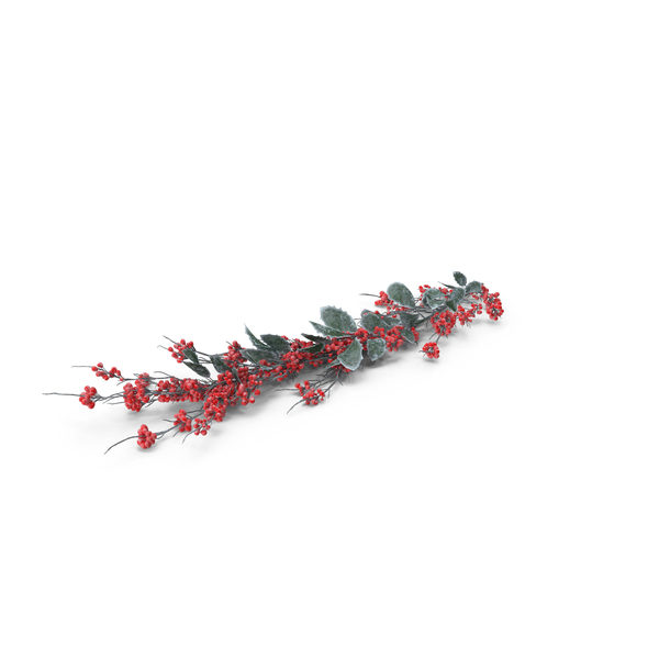 Frosted Holly Twig PNG & PSD Images