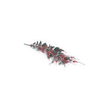 Frosted Holly Twig PNG & PSD Images