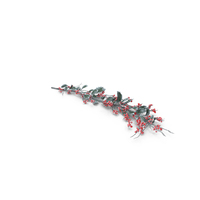 Frosted Holly Twig PNG & PSD Images